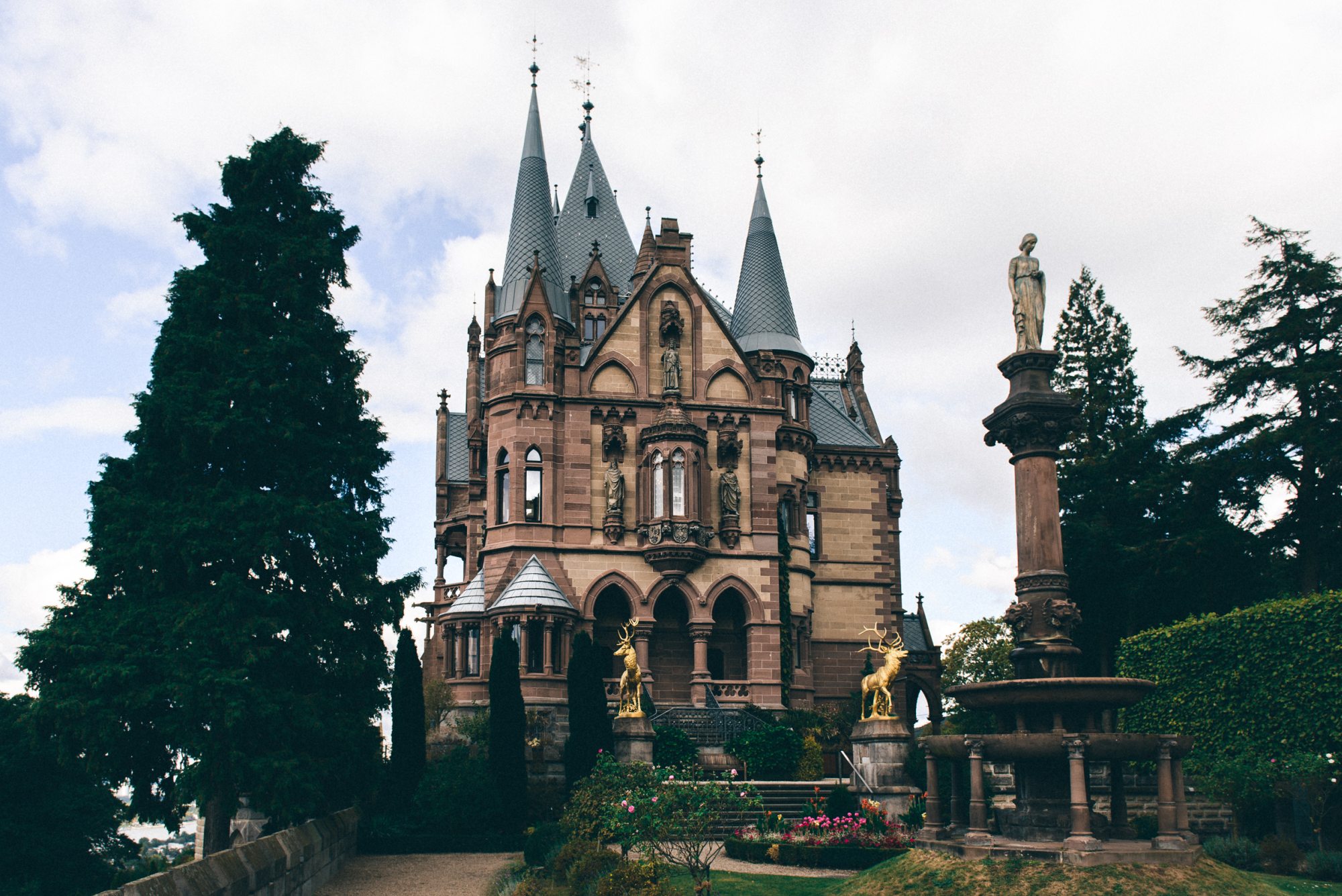 Bild zu Hochzeit auf Schloss Drachenburg in Königswinter