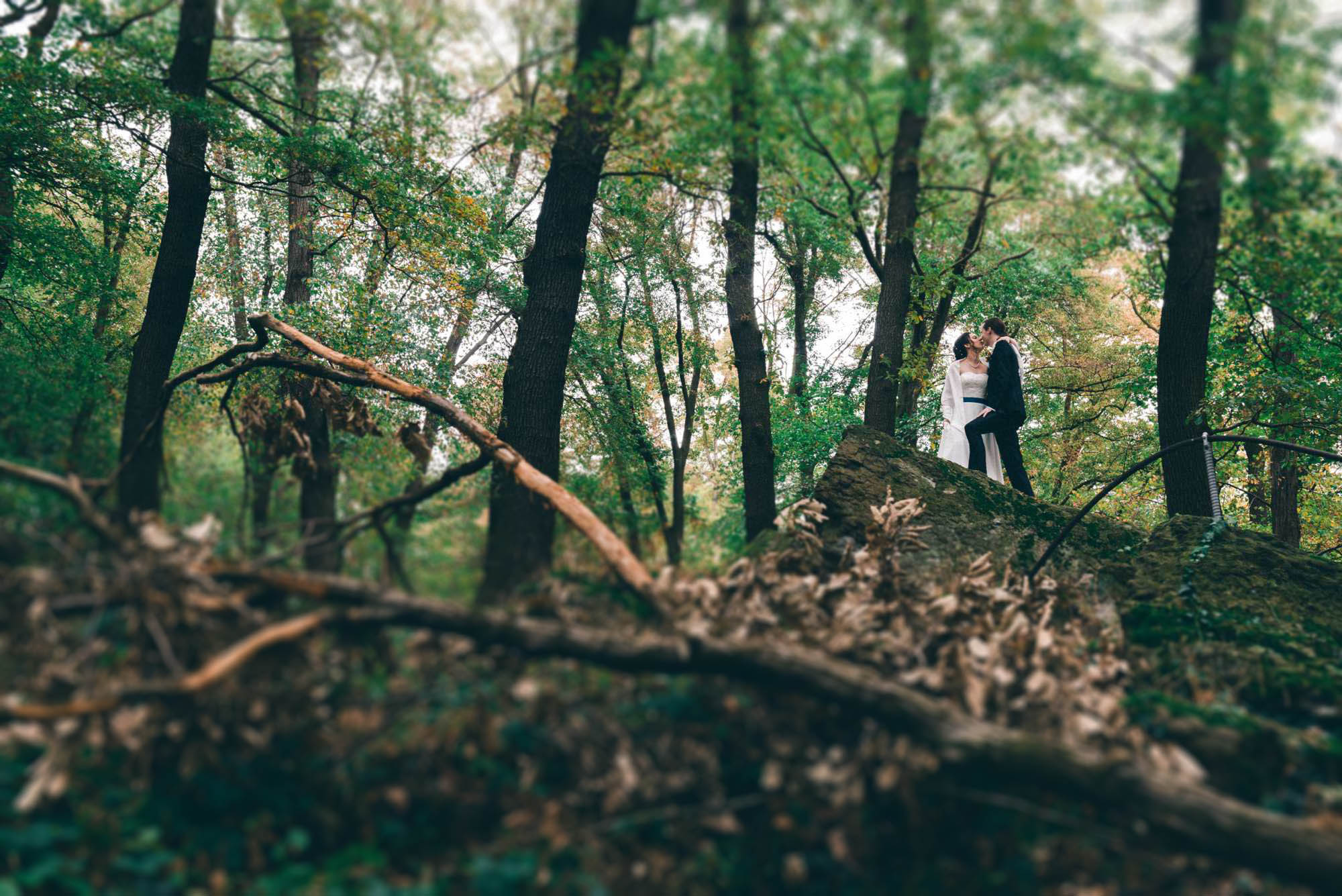 Bild zu Hochzeit auf Schloss Drachenburg in Königswinter